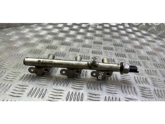 Топливная рампа 9806724880, 194170845   Citroen C3  