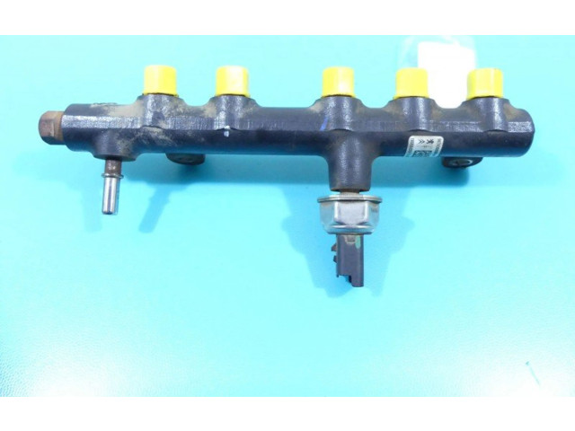 Vstřikovací lišta 9674300080-04, IMPRK1316245 Ford Kuga II