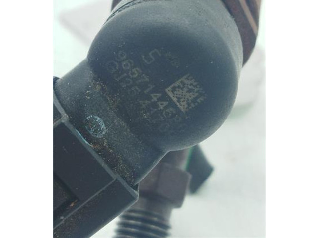 Форсунка 9657144580, 9657144580 Volvo C30 D4204T