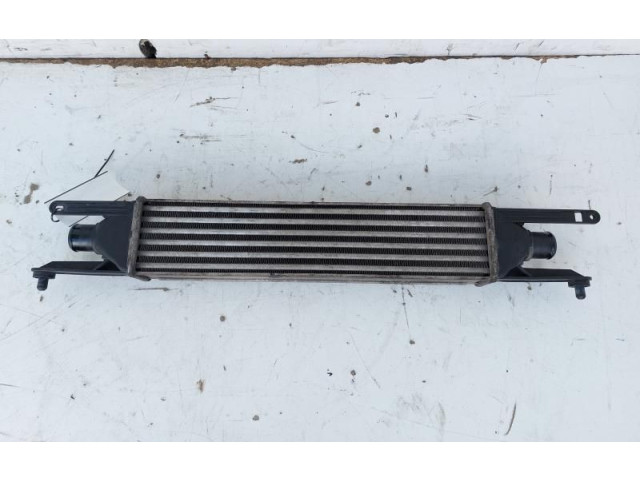 Интеркулер     Fiat Grande Punto 