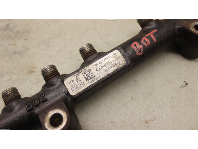 Топливная рампа 1697684, 14255947   Ford Transit -  Tourneo Connect   для двигателя UBGA