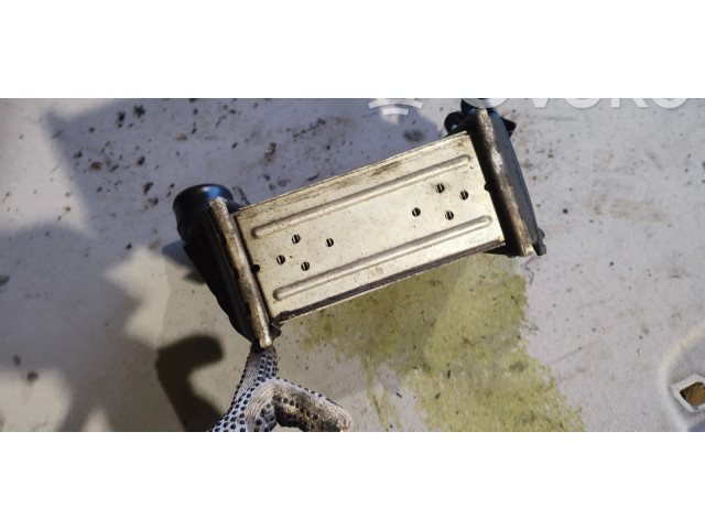 Интеркулер Skoda Octavia Mk1 (1U)