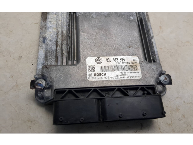 Řídící jednotka 03L907309, 1039S30090   Volkswagen Tiguan 2013