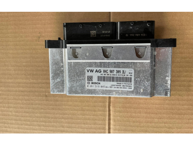 Блок управления двигателем Блок управления 04C907309BJ   Skoda Fabia Mk3 (NJ)