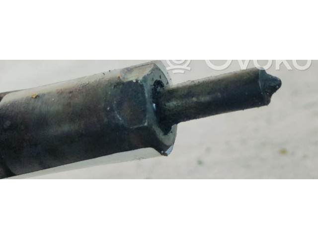 Vstřikovač 0445110008   Peugeot 307    RHYDW10TD 