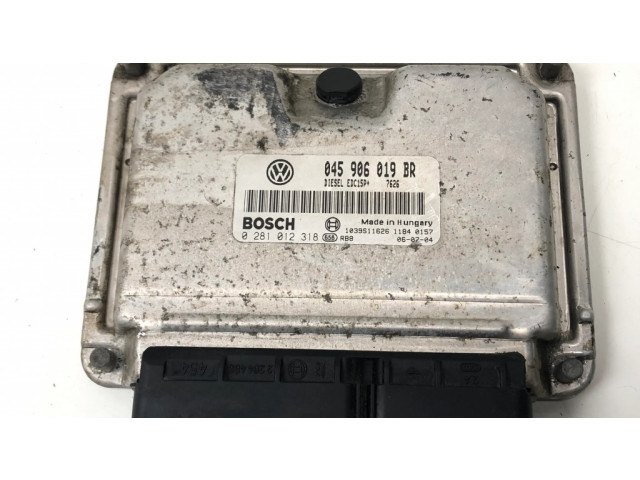 Řídící jednotka 045906019BR, 0281012318 Skoda Fabia Mk1 (6Y) 2007