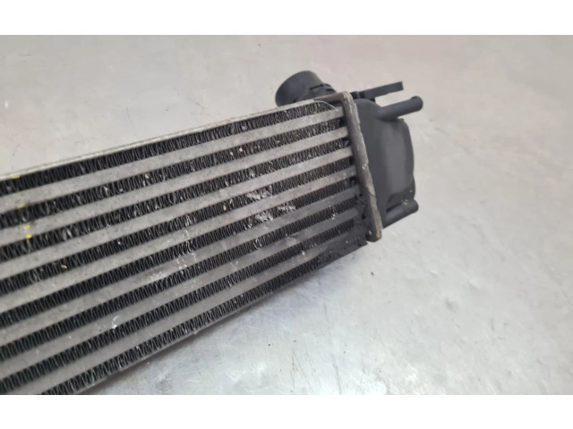 Интеркулер  8200880552, 1100229446   Dacia Duster 