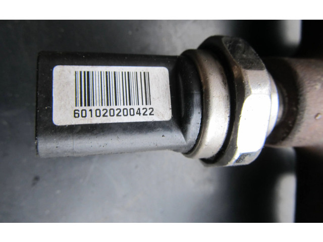 Топливная рампа 8200704212, H8200704217 Renault Scenic III - Grand scenic III