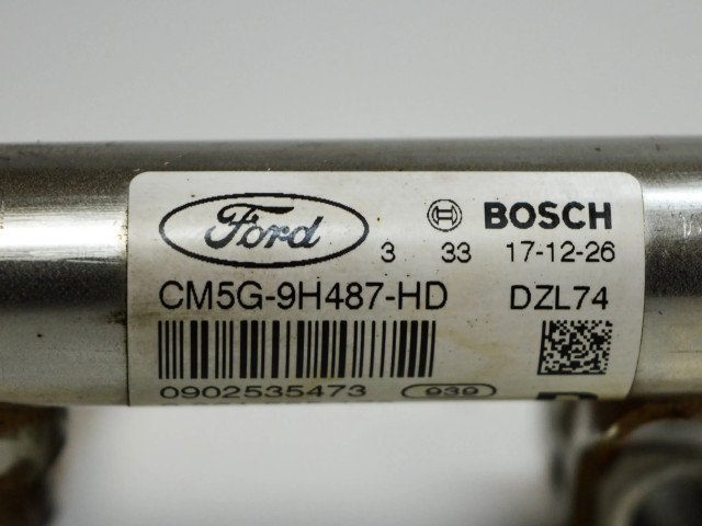 Топливная рампа CM5G9H487HD, BM5G9F972BA Ford Ecosport 1.0