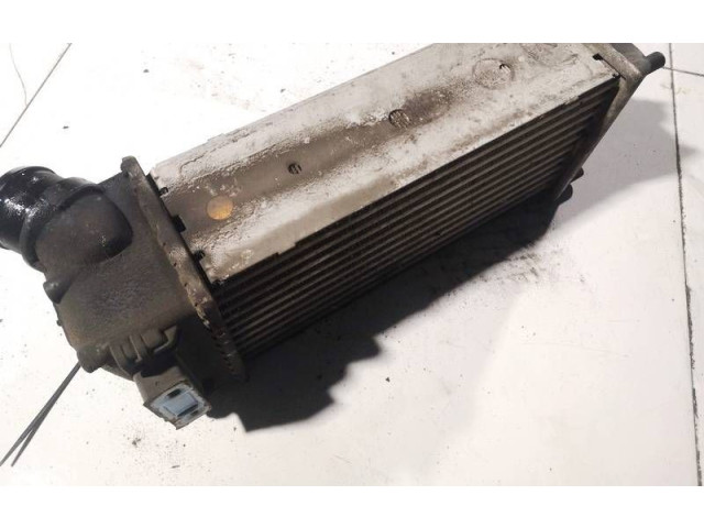 Интеркулер 9648851880, 876923je Citroen C4 I