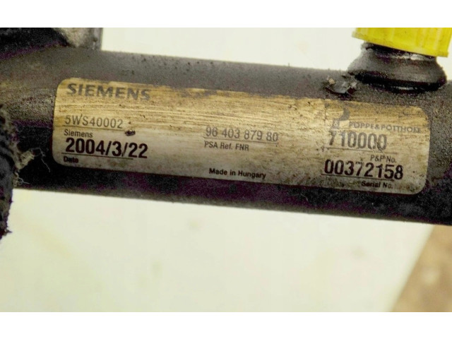 Vstřikovací lišta Citroen C1