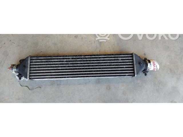 Интеркулер     Fiat Bravo 