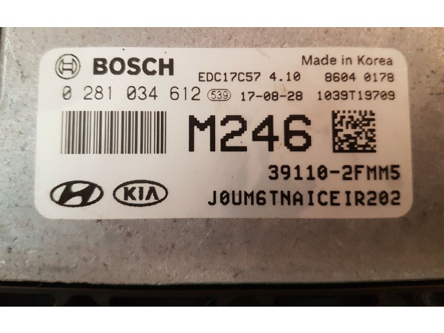 Блок управления двигателя 0281034612, 391102FMM5   KIA Sorento