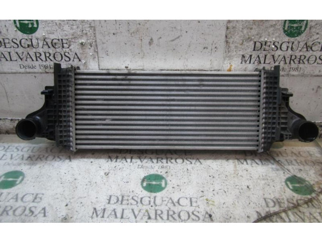 Интеркулер A2515000000 Mercedes-Benz R W251