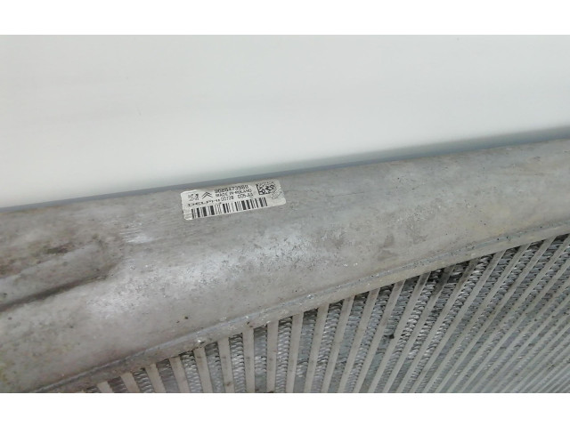 Интеркулер  9688473580, 9688473580   Citroen C5 