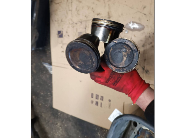 Píst Audi A4 S4 B6 8E 8H ALZ