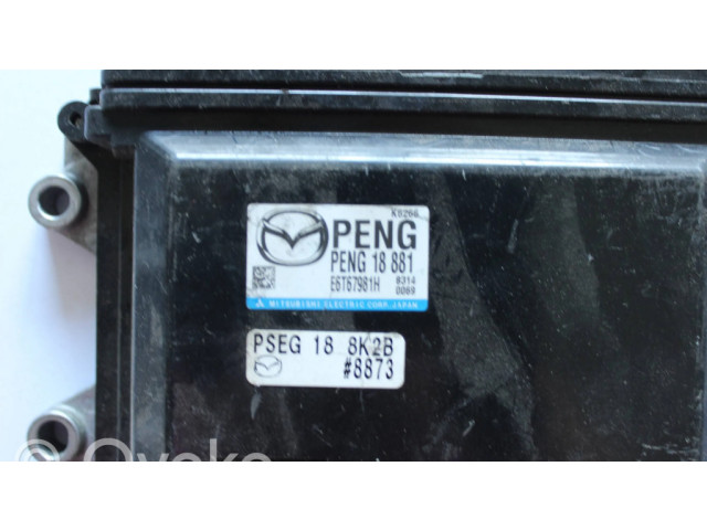 Блок управления двигателя E6T67981H, PENG18881 Mazda CX-3