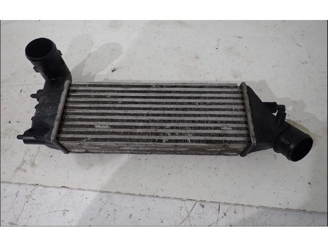 Интеркулер 00000384G0 Citroen C8