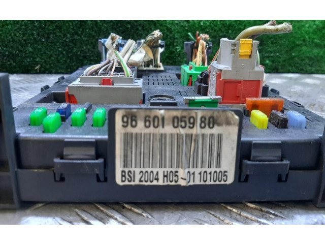 Блок предохранителей 9660105980 Citroen C4 I