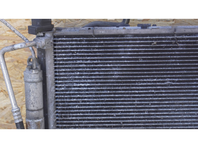 Комплект радиатора    Renault  Clio III  2005 - 2012 года