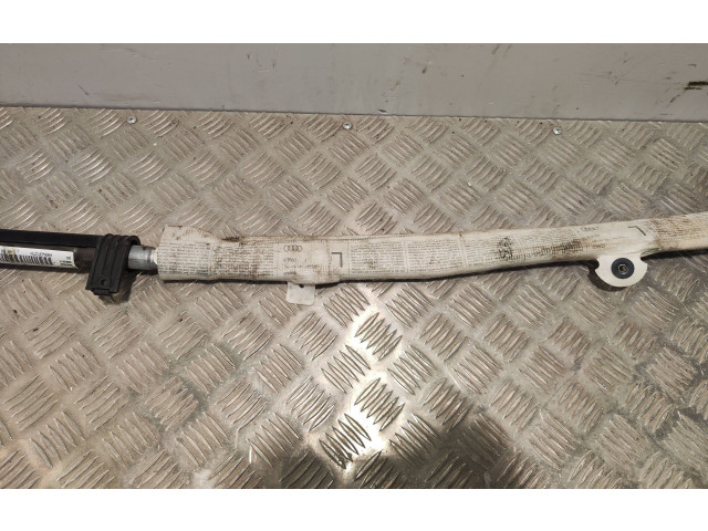 Надувная подушка для крыши       Audi A6 S6 C5 4B  1997 - 2005 года   