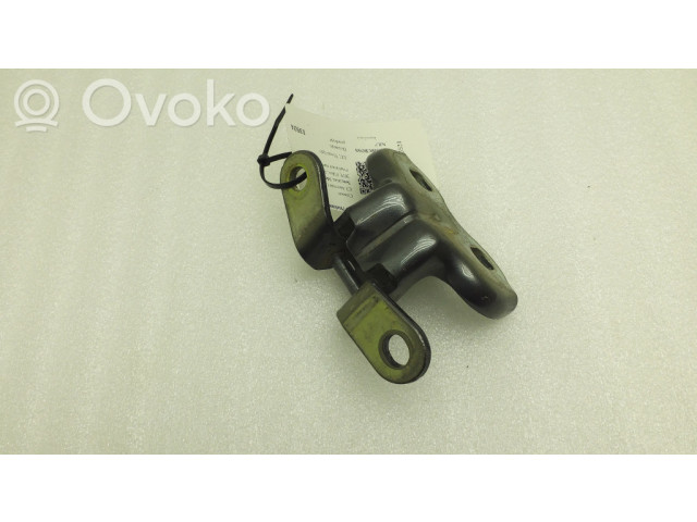 Передняя нижняя петля