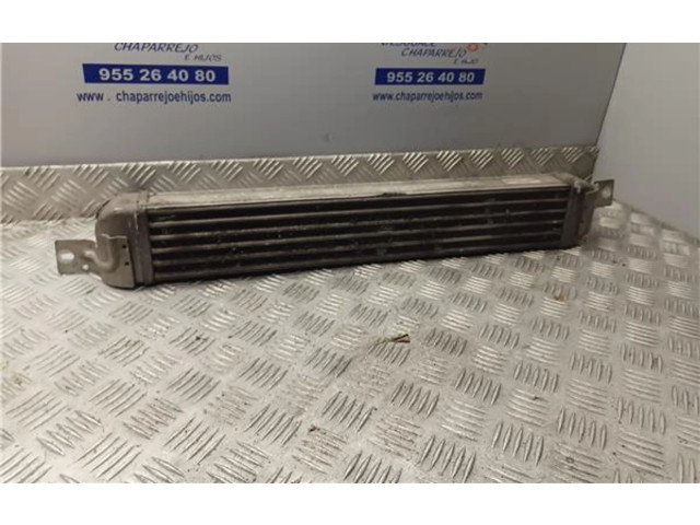 Интеркулер     Opel Meriva A 