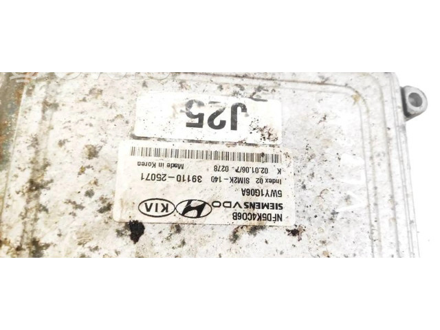Блок управления двигателя 3911025071   Hyundai Sonata