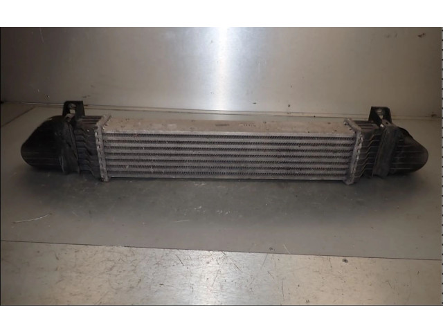 Интеркулер  2205000000   Mercedes-Benz E W210 