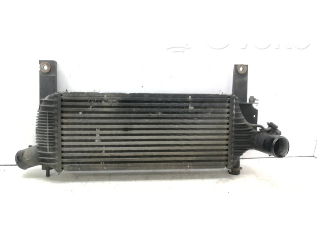 Интеркулер Nissan Pathfinder R51