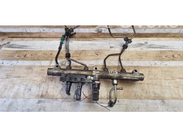 Vstřikovací lišta Peugeot 807