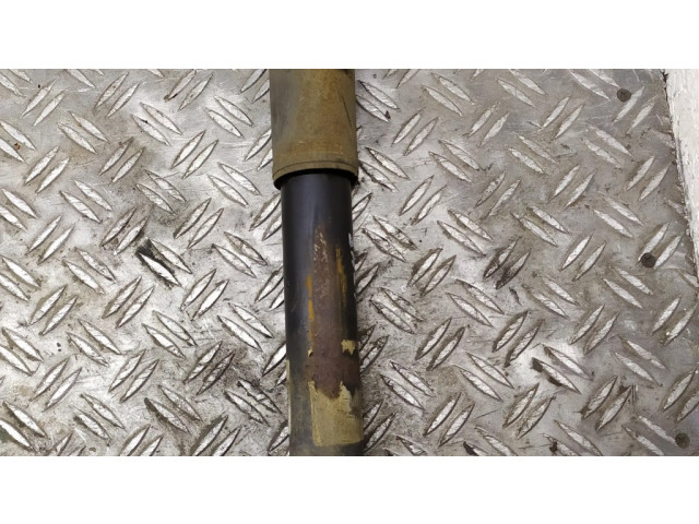 Задний aмортизатор      