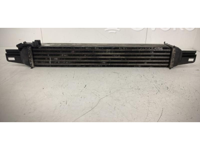 Интеркулер  00000384L7   Citroen Nemo 