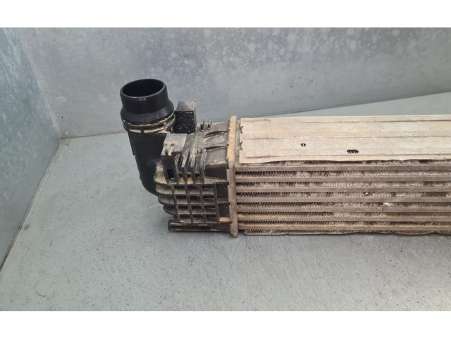 Интеркулер 8200880552, IA2002 Dacia Duster