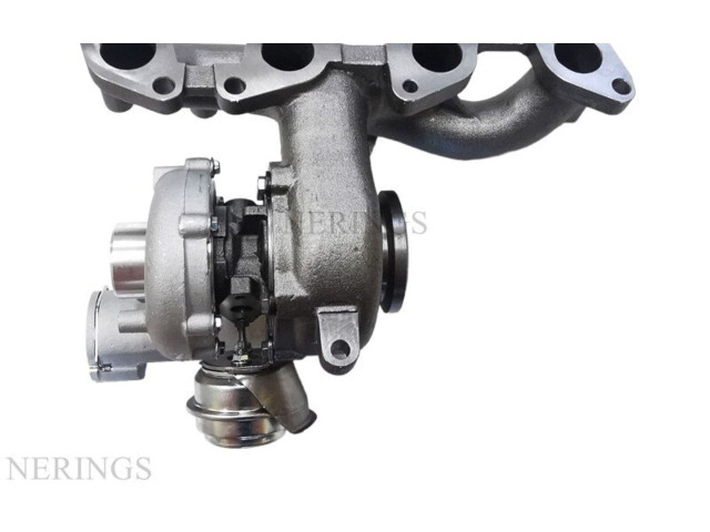 Турбина Skoda Octavia Mk2 (1Z) 724930-0012, TC10-0199