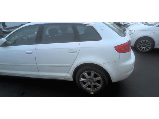 Блок управления двигателя 8P0920902E   Audi A3 S3 A3 Sportback 8P