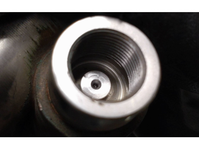 Жиклер (жиклеры) (форсунка (форсунки) 0261500073 Peugeot RCZ