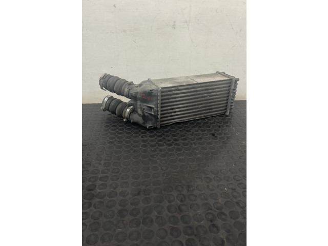 Интеркулер Citroen Berlingo