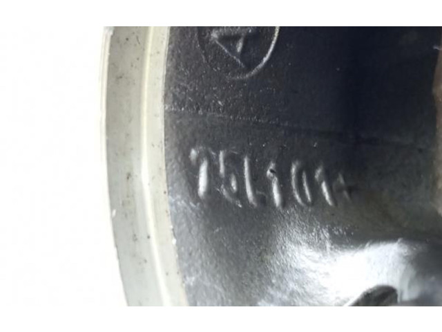 Píst 75L101, COMBIELA Peugeot 3008 I 9HR (DV6C)