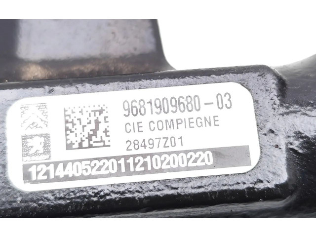 Топливная рампа 9663305480, 28497Z01   Ford Kuga I   для двигателя TXDA