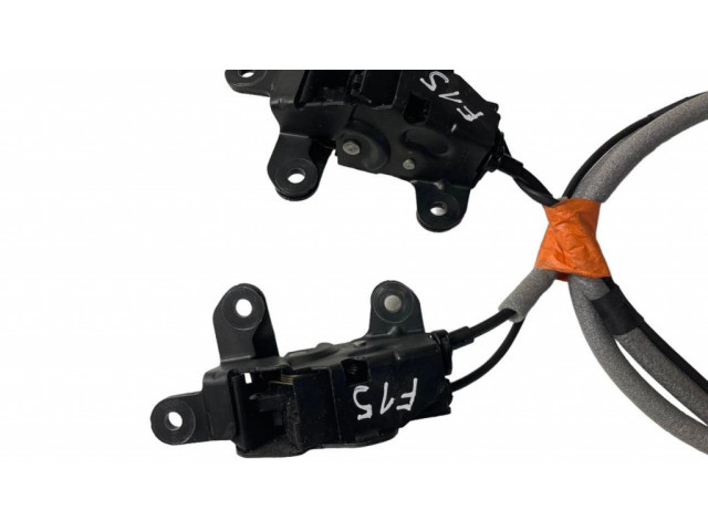 Zámek zadních dveří 51247183196, 964021108 BMW X5 E70 2010