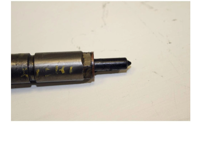 Форсунка 0445110076    Peugeot Expert  RHX 