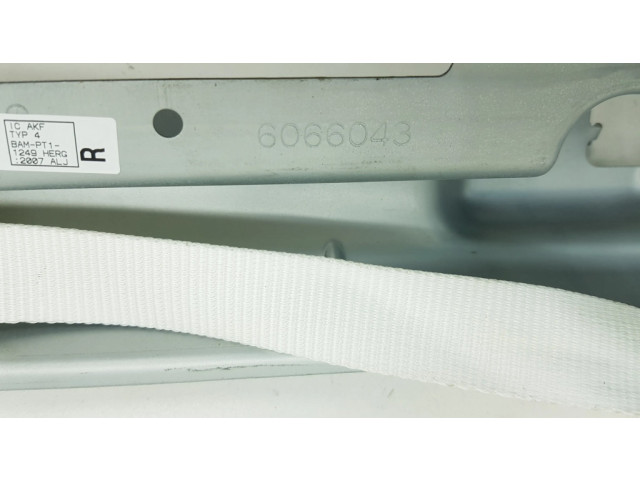 Надувная подушка для крыши