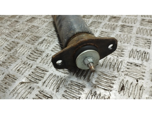 Задний aмортизатор      