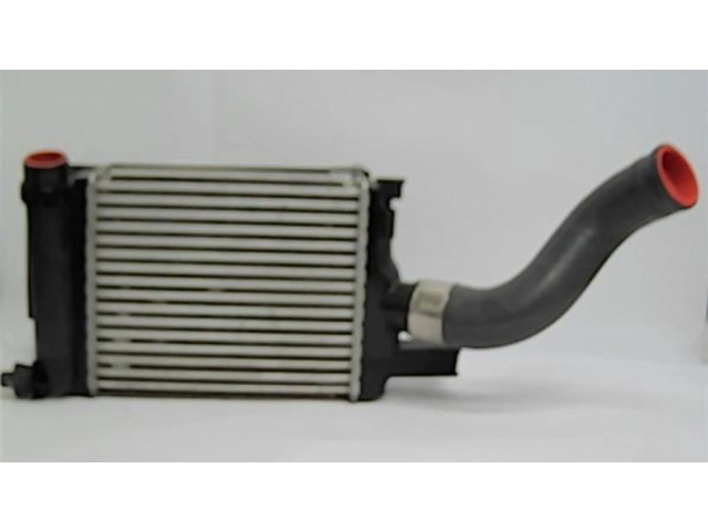 Интеркулер Dacia Duster II