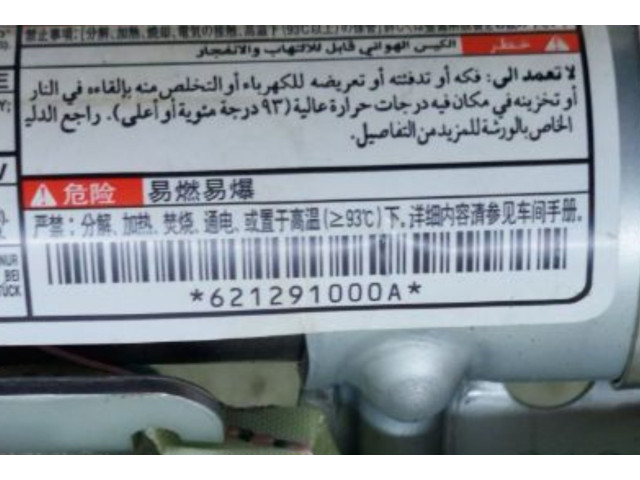 Боковая подушка безопасности 0589P10045, 621291000A Peugeot iOn