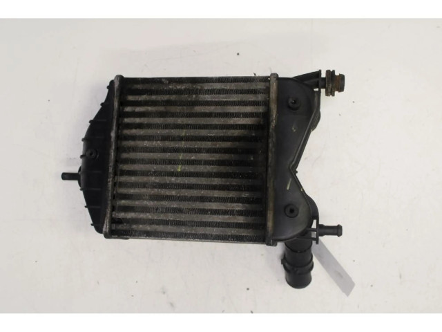 Интеркулер     Fiat Punto (188) 