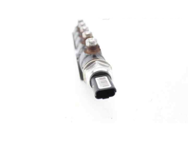 Топливная рампа 9654592680, 9658227880   Citroen C3  