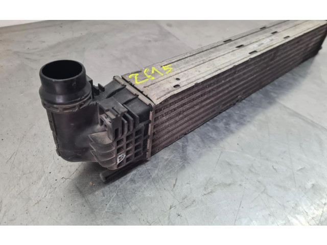 Интеркулер  8200880552, 1100229446   Dacia Duster 