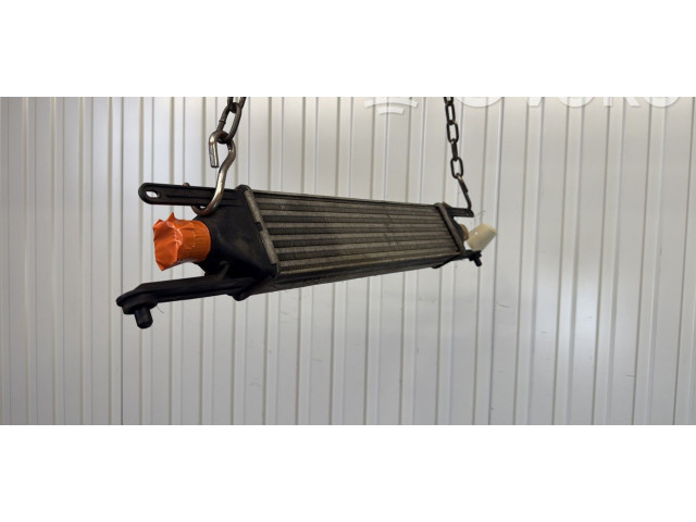 Интеркулер  55702237   Fiat Grande Punto 